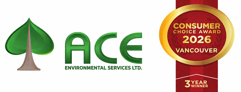 Why Choose Ace Environmental for Lead Removal